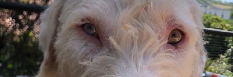 caravetti87's profile banner image