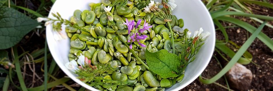 MarieBenoiteIrissou banner