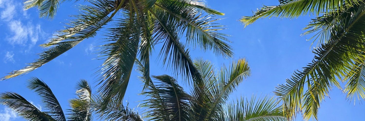 AlohaImLogan's profile banner image