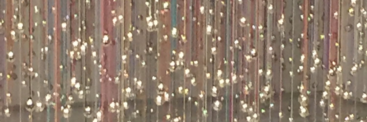 siljafrey's profile banner image