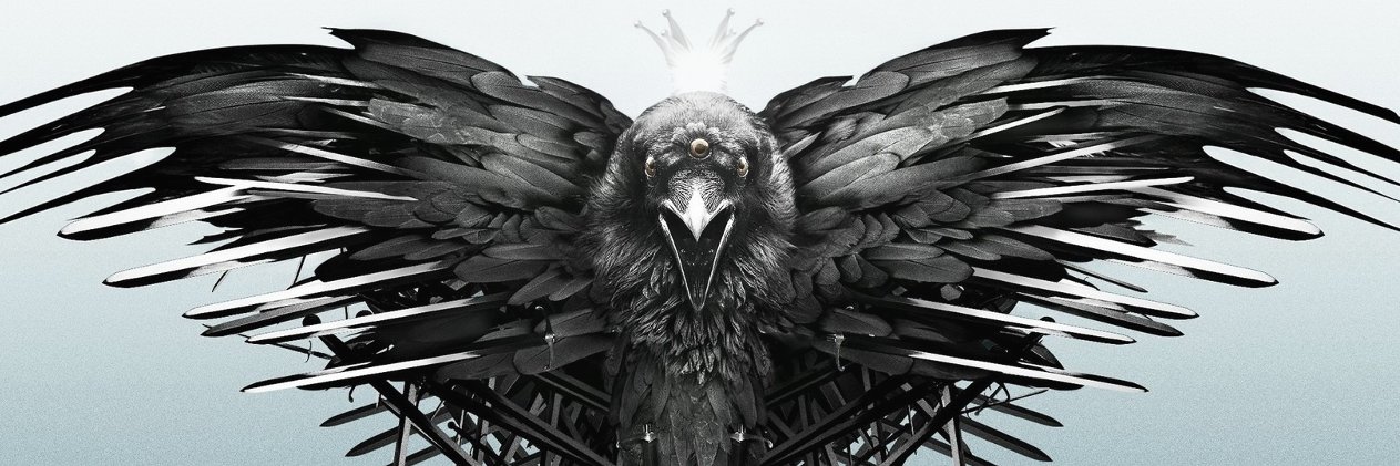 Raven King banner