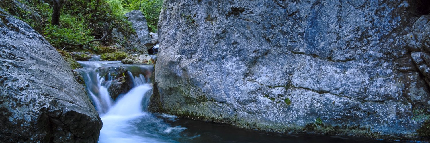 Lucas Martins banner