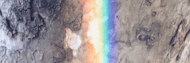 Jessica R. Washington banner