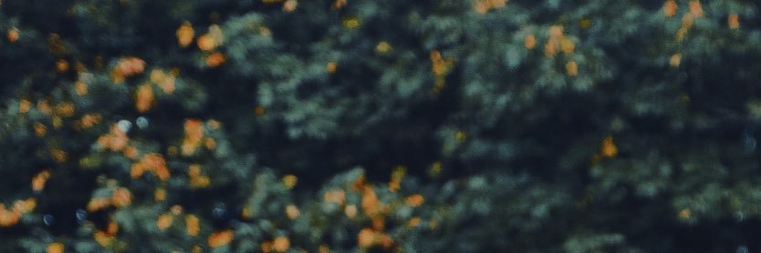 bbieks11's profile banner image