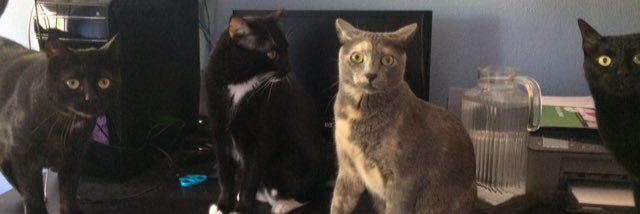 leidialis's profile banner image