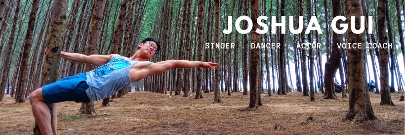 JoshuaGAnthony's profile banner image
