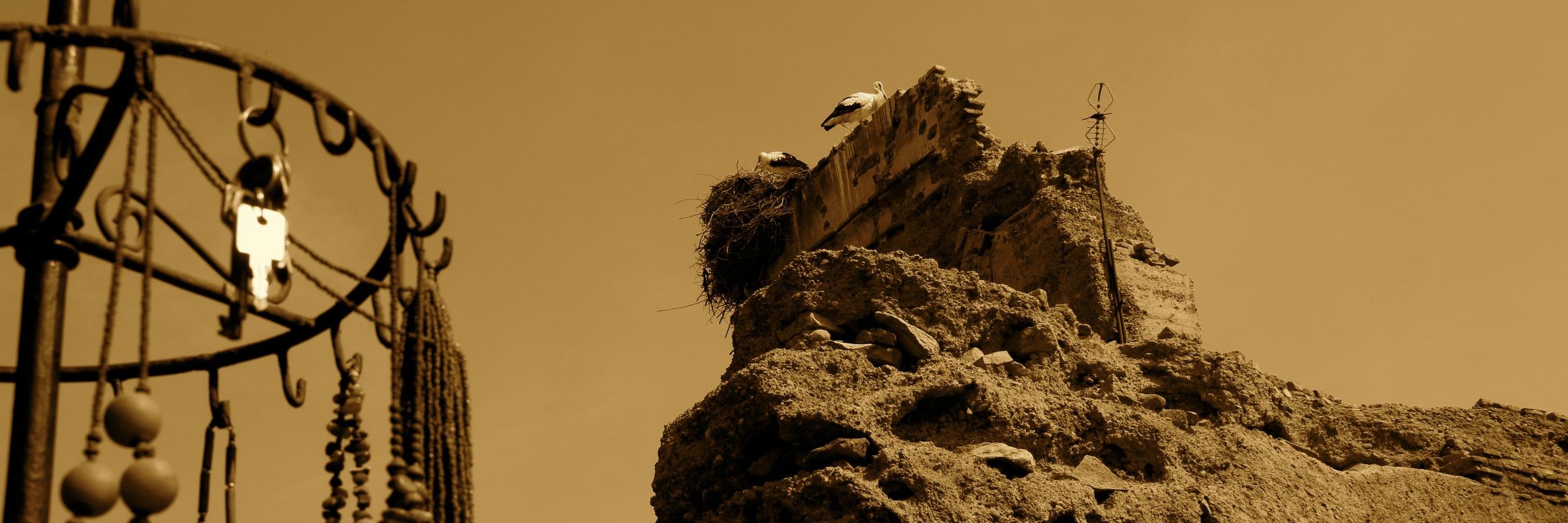 ris_miller's profile banner image