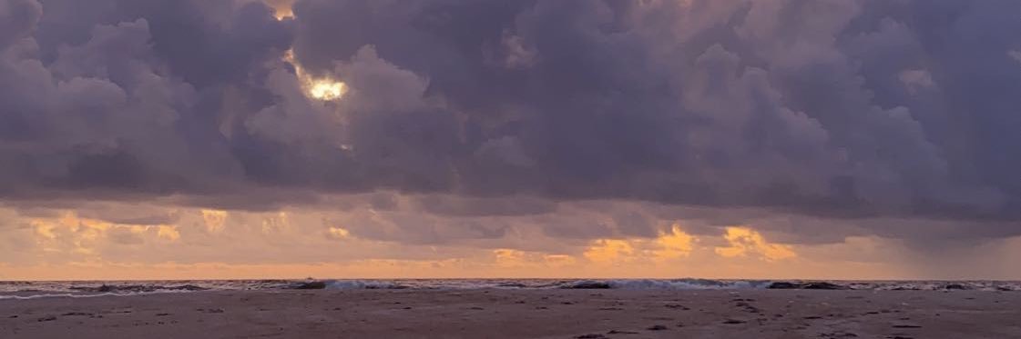 anaweedis's profile banner image