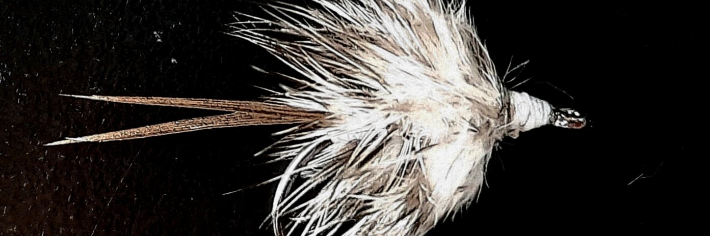 andrew_shuff's profile banner image