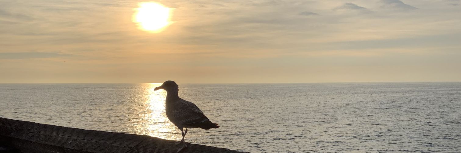 Soy_Vale_'s profile banner image