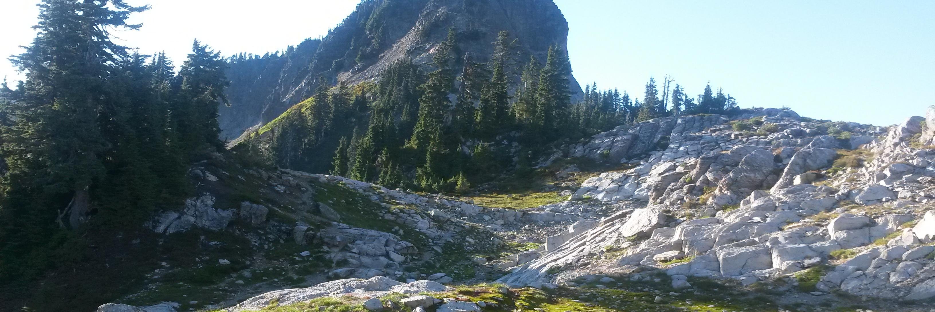Danica Marining banner