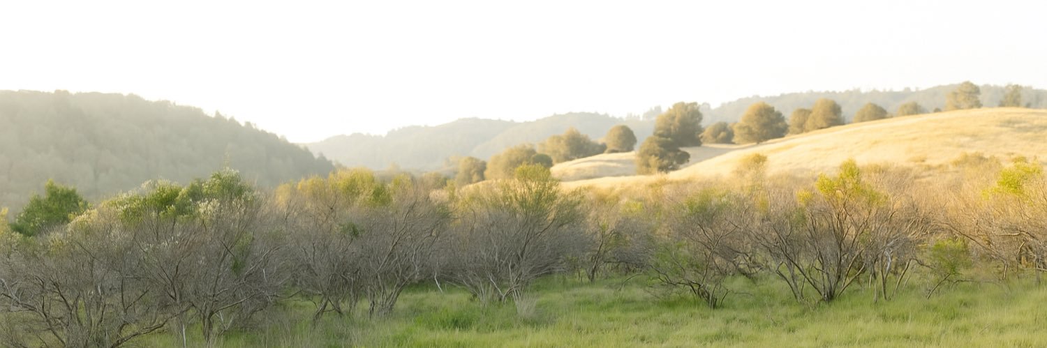 helenlee510's profile banner image