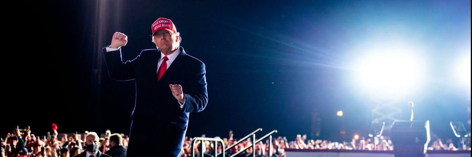 American Cat Mom 🇺🇸 banner