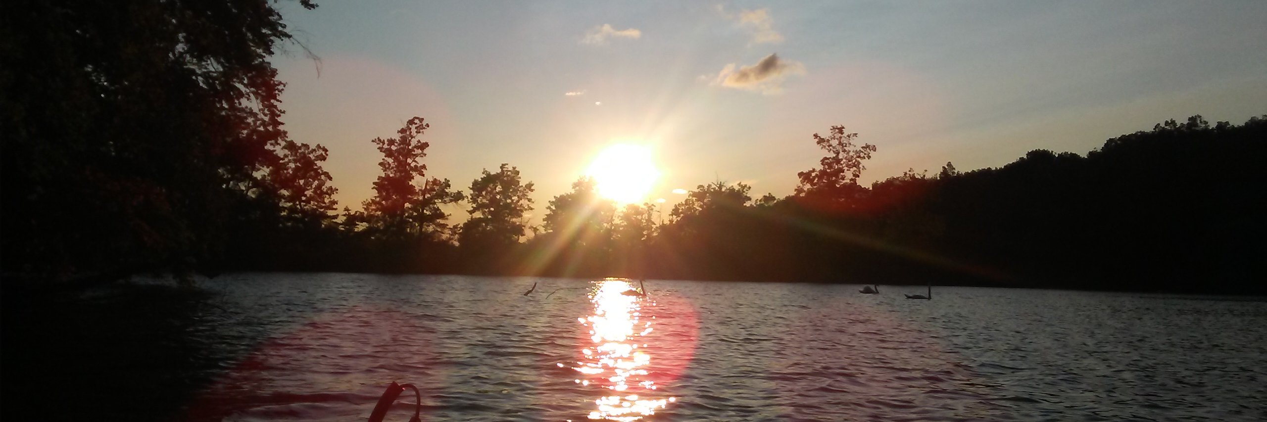 DougieBoy66's profile banner image