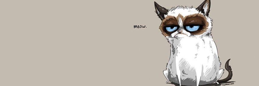 maristocs's profile banner image