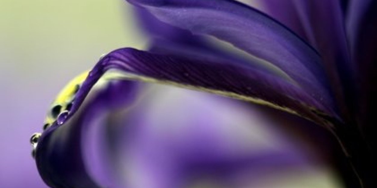 iAhmed07's profile banner image