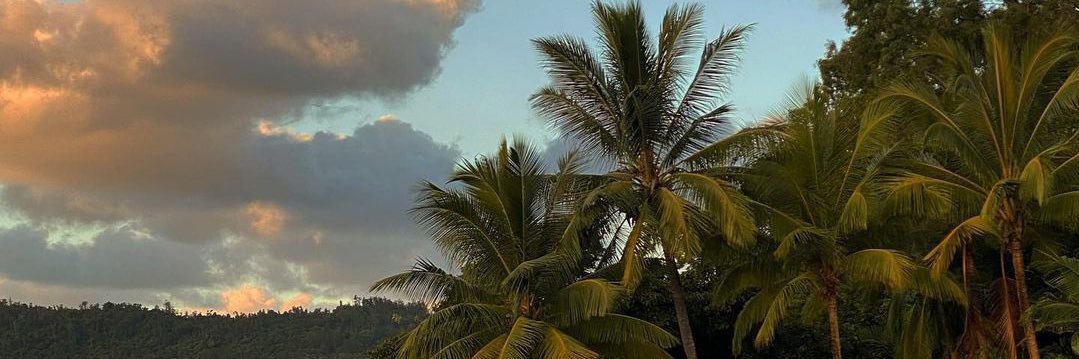 _larsrodriguez's profile banner image