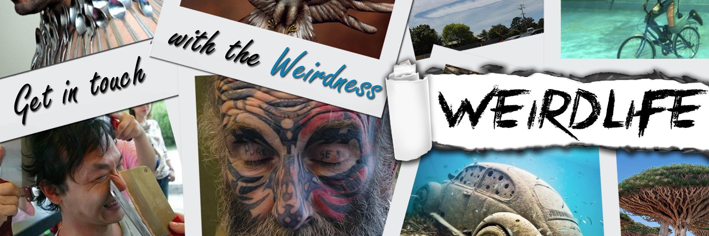 weirdlifecom's profile banner image