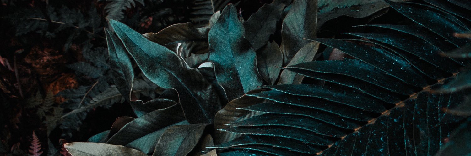 canselerasln's profile banner image