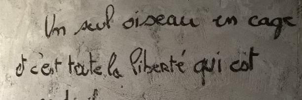 Florine____'s profile banner image