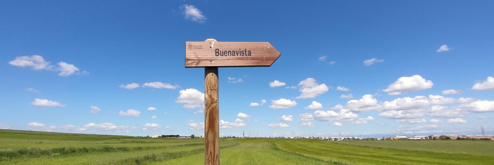 El Grenli 💚 banner