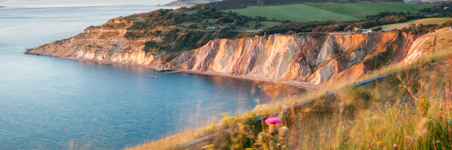 IWC Public Health banner