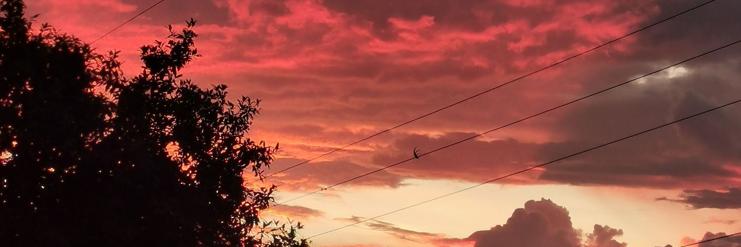 BachNery's profile banner image
