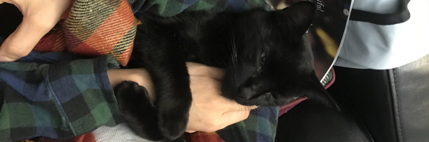 currolinee's profile banner image