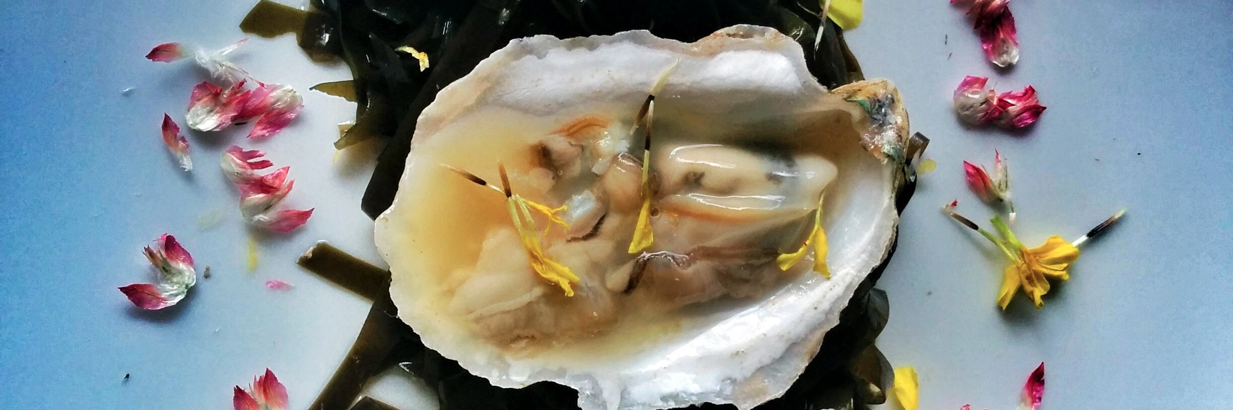 East Boston Oysters banner