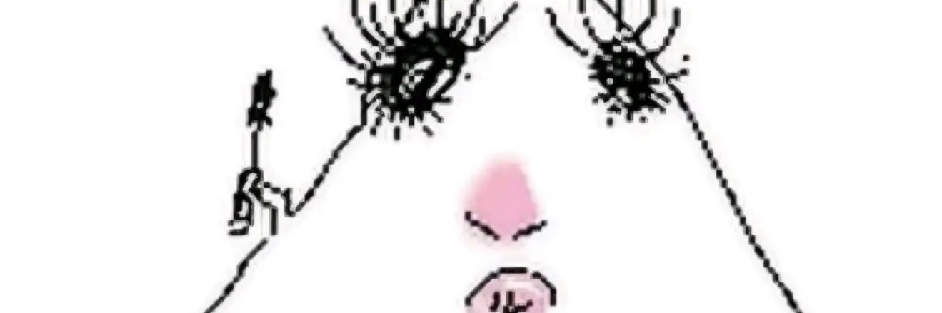 ccelinasellers's profile banner image