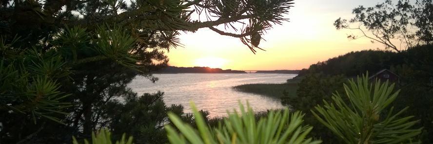 mkinnunen's profile banner image