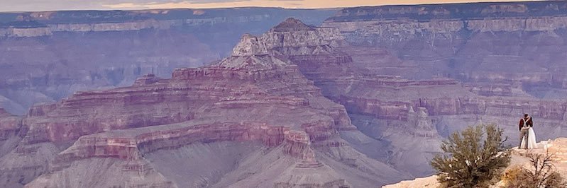 Liza Sheketoff banner