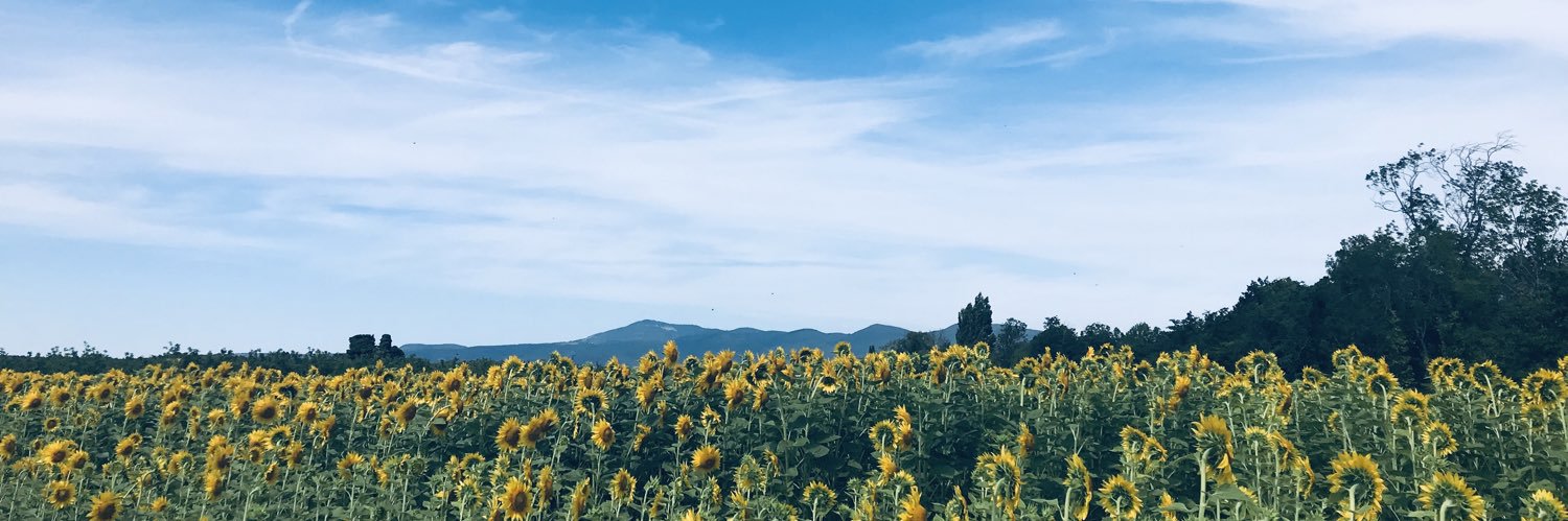 CreightonLilly's profile banner image