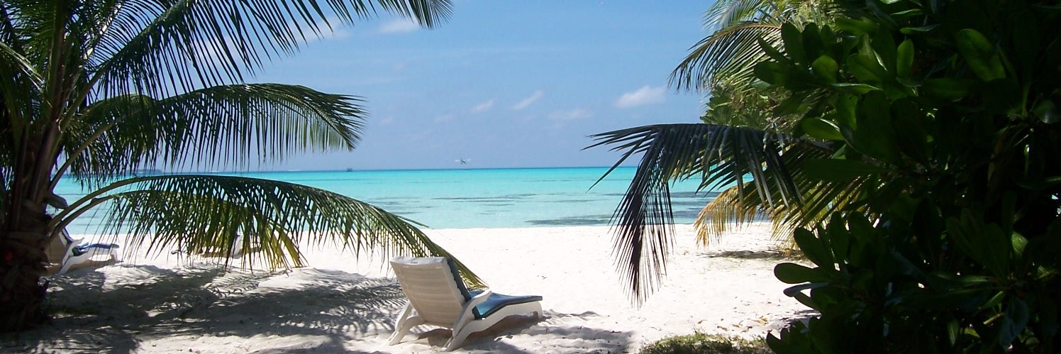 Barbara Crawford banner