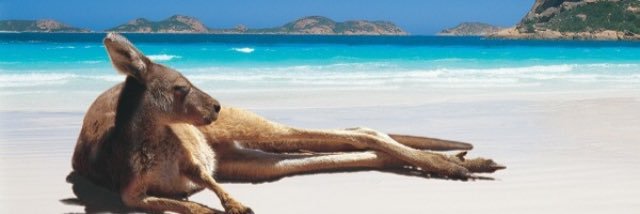 StegallBailey's profile banner image