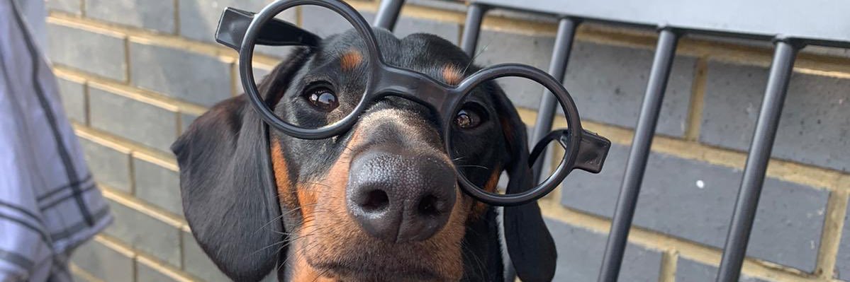 ninij (She/Her) banner