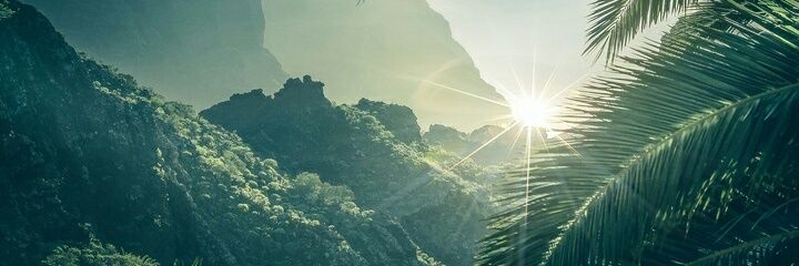 CaneTheAuthor's profile banner image
