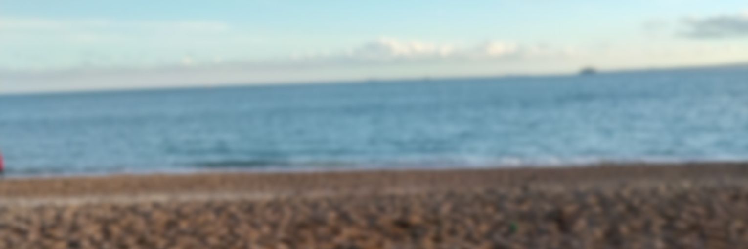 sofiabythesea's profile banner image