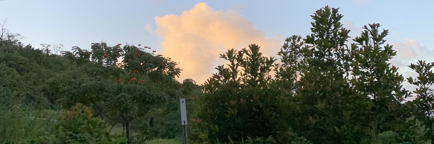 paigenelsn's profile banner image