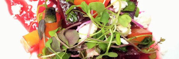 lucywaverman Profile Banner