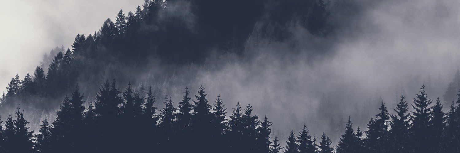 Mikethefrig's profile banner image