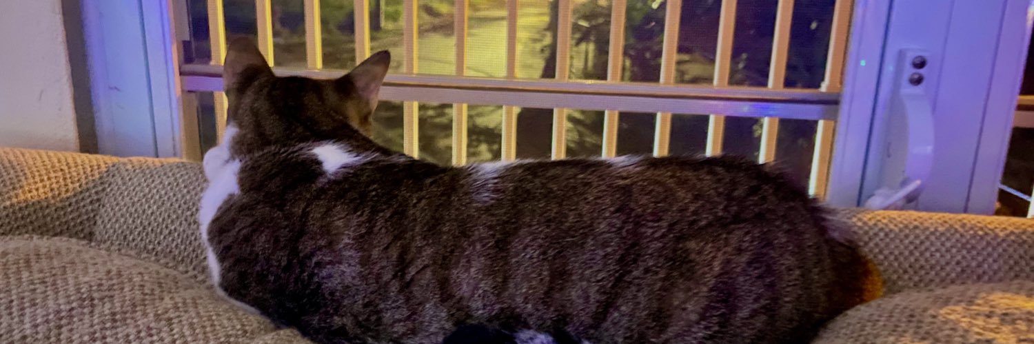 notacatcher's profile banner image
