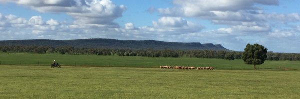 davejmck Profile Banner