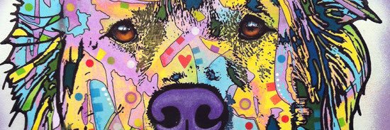 aldle's profile banner image