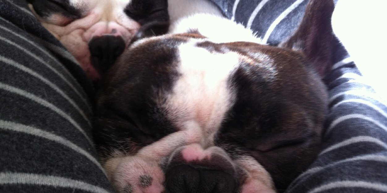 モリボーン 2フー banner