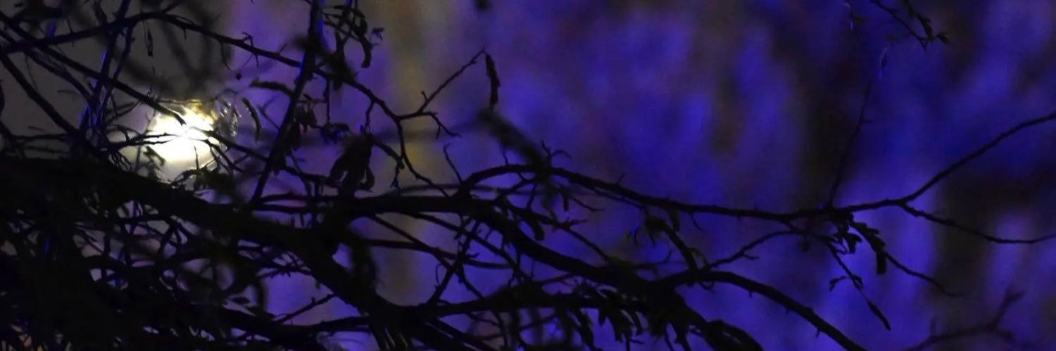 _NR8_'s profile banner image