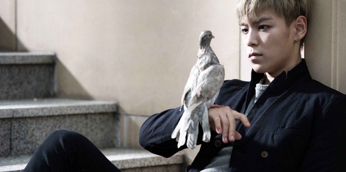 SeungOfficial's profile banner image