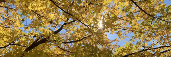 clachapelle2 Profile Banner