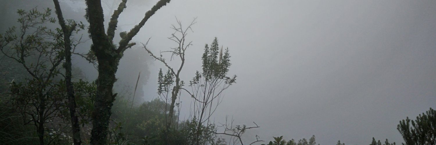 squajon's profile banner image