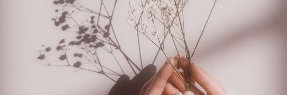 nicolesanchizz's profile banner image